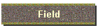 Field